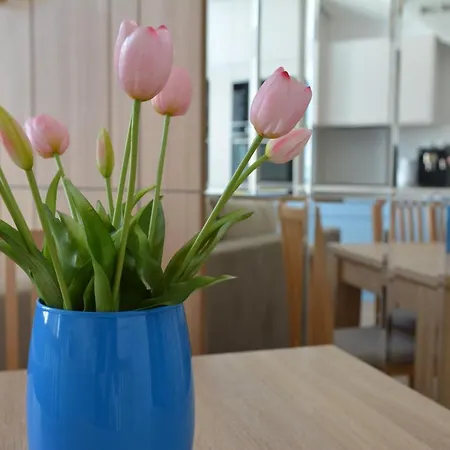 アパート Mario Ll *